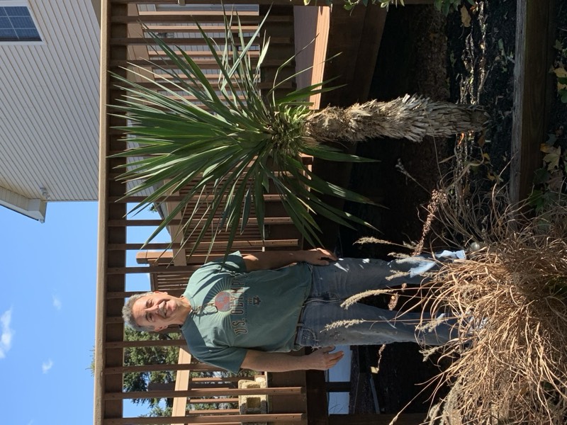 Yucca palms grown in Franklinville, NJ