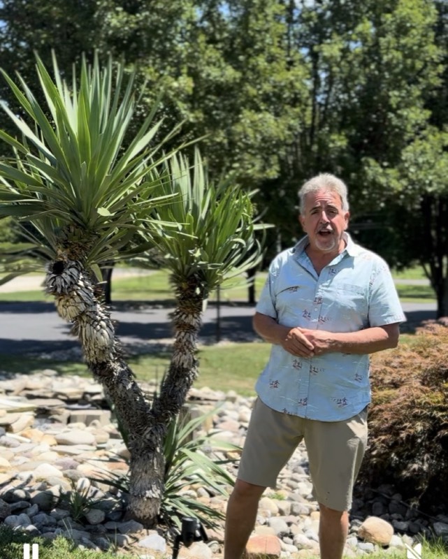 Yucca palms grown in Franklinville, NJ