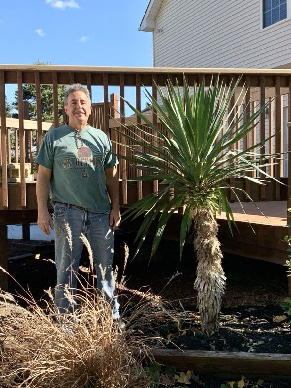 Yucca palms grown in Franklinville, NJ
