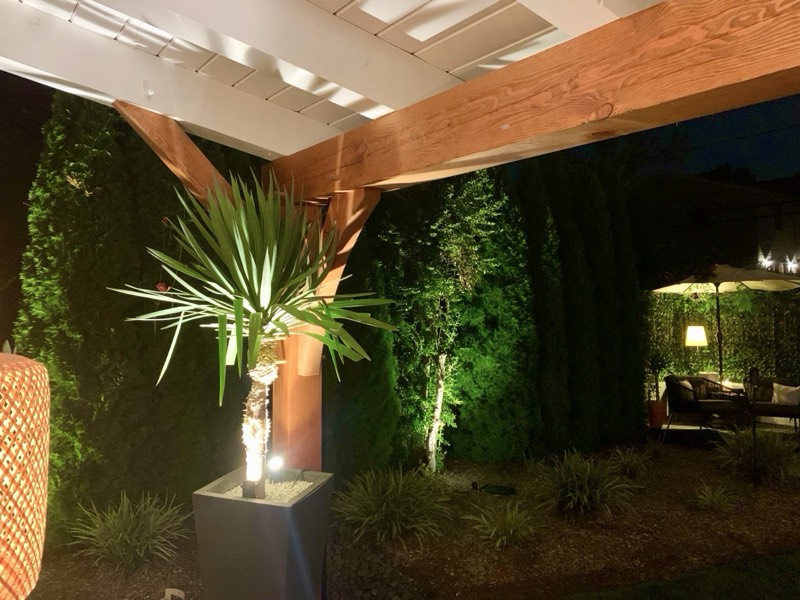 Yucca palms grown in Franklinville, NJ